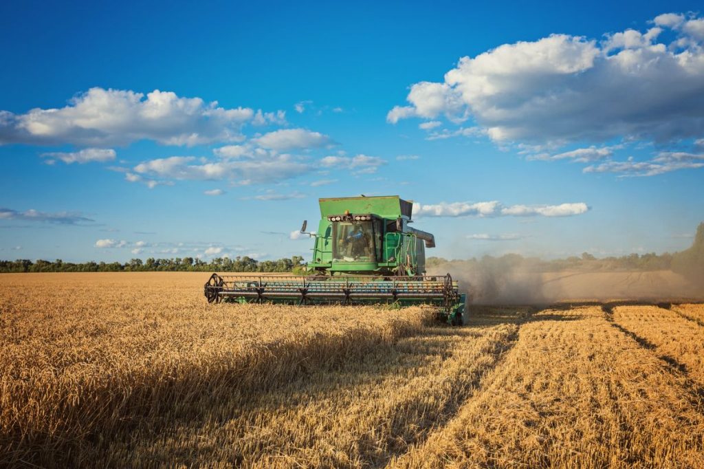 Fotografía de una cosechadora verde trabajando en un campo dorado de trigo bajo un cielo azul con nubes blancas esponjosas, levantando polvo mientras avanza por el cultivo.